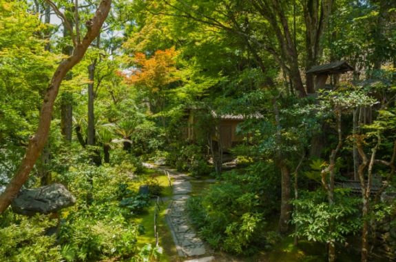 丸谷博男 Owl Property